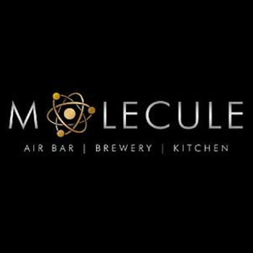 Clients_0010_Molecule
